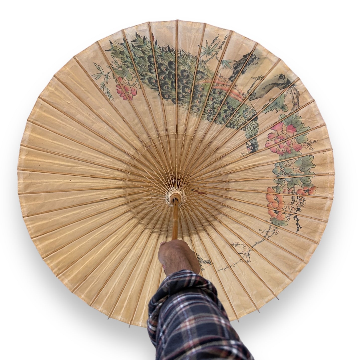 Vintage Asian parasol umbrella decorative