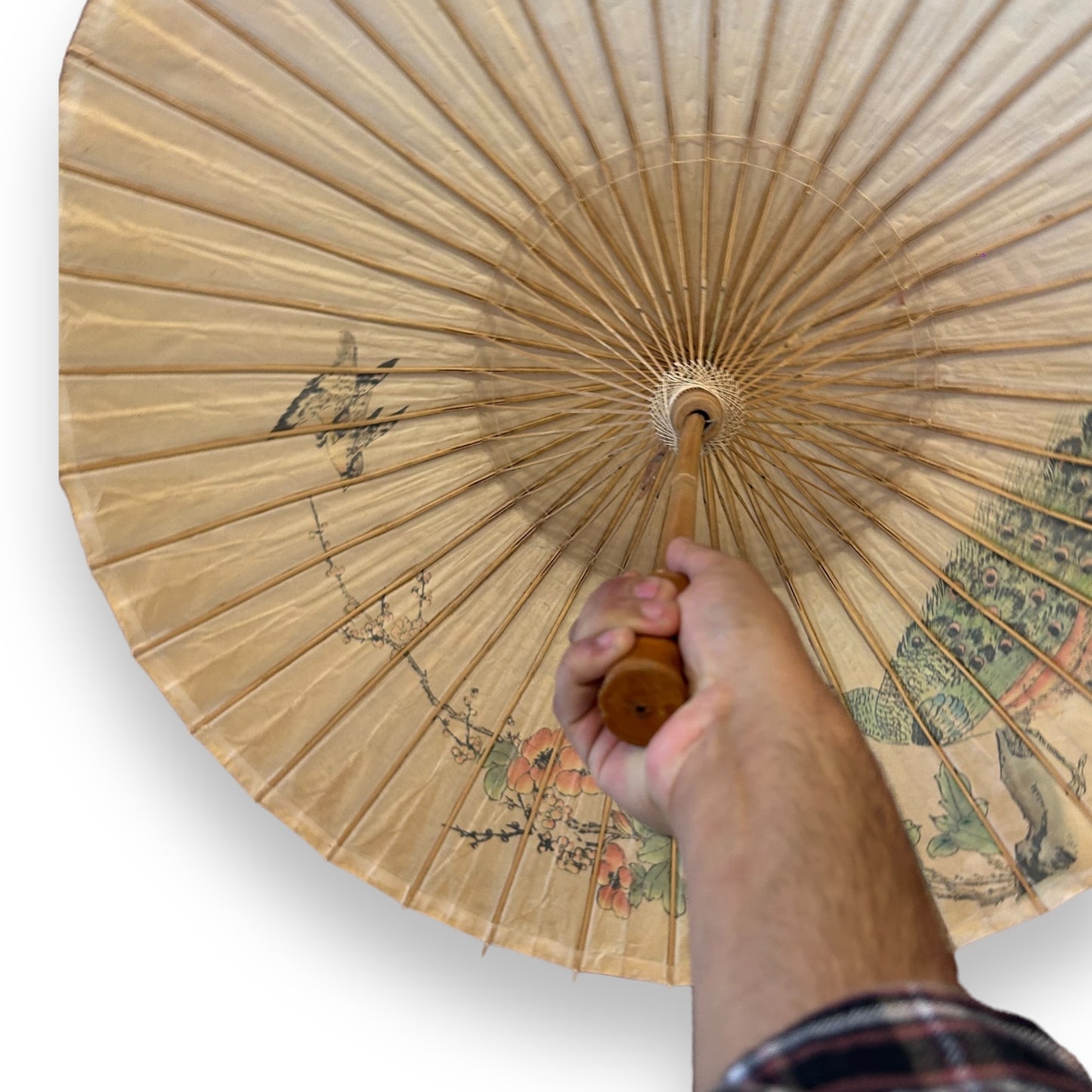 Vintage Asian parasol umbrella decorative