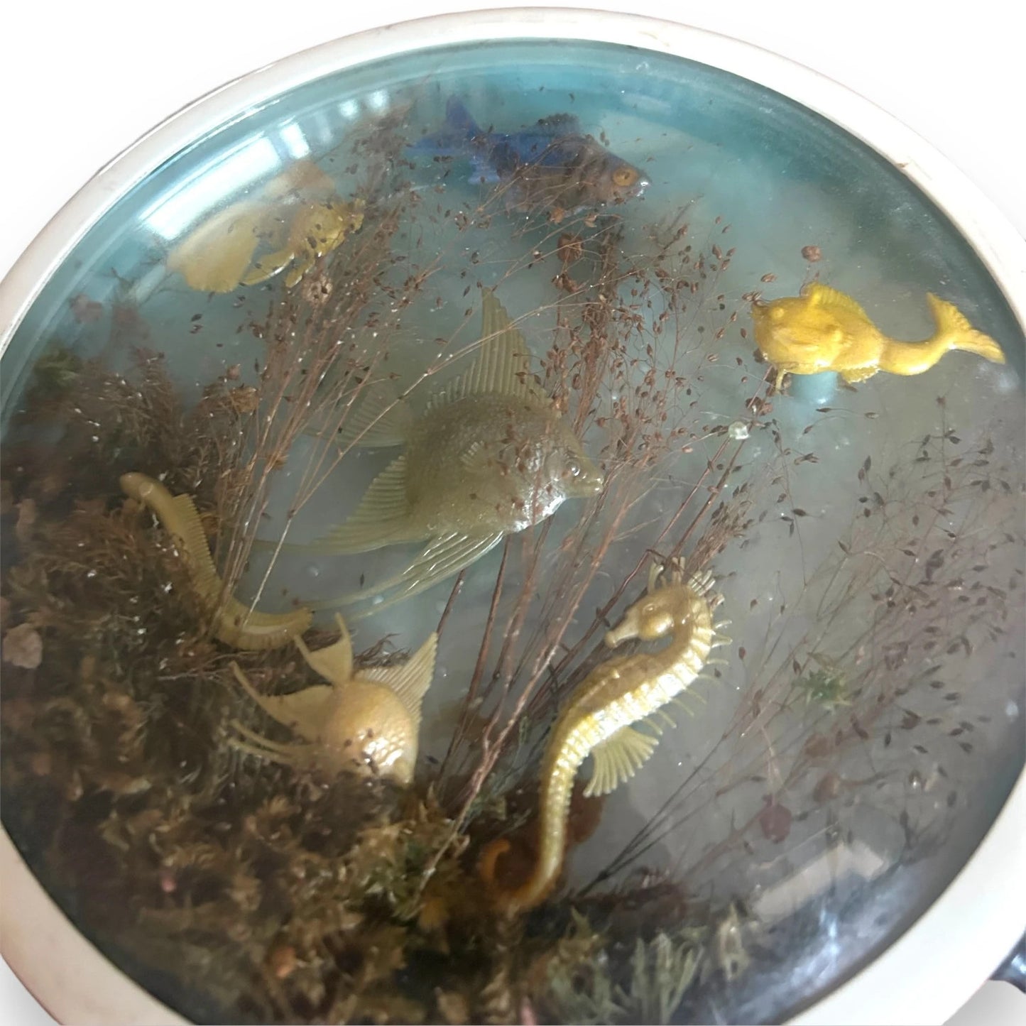Mid Century Ships Wheel Ocean Fish Scene Terrarium