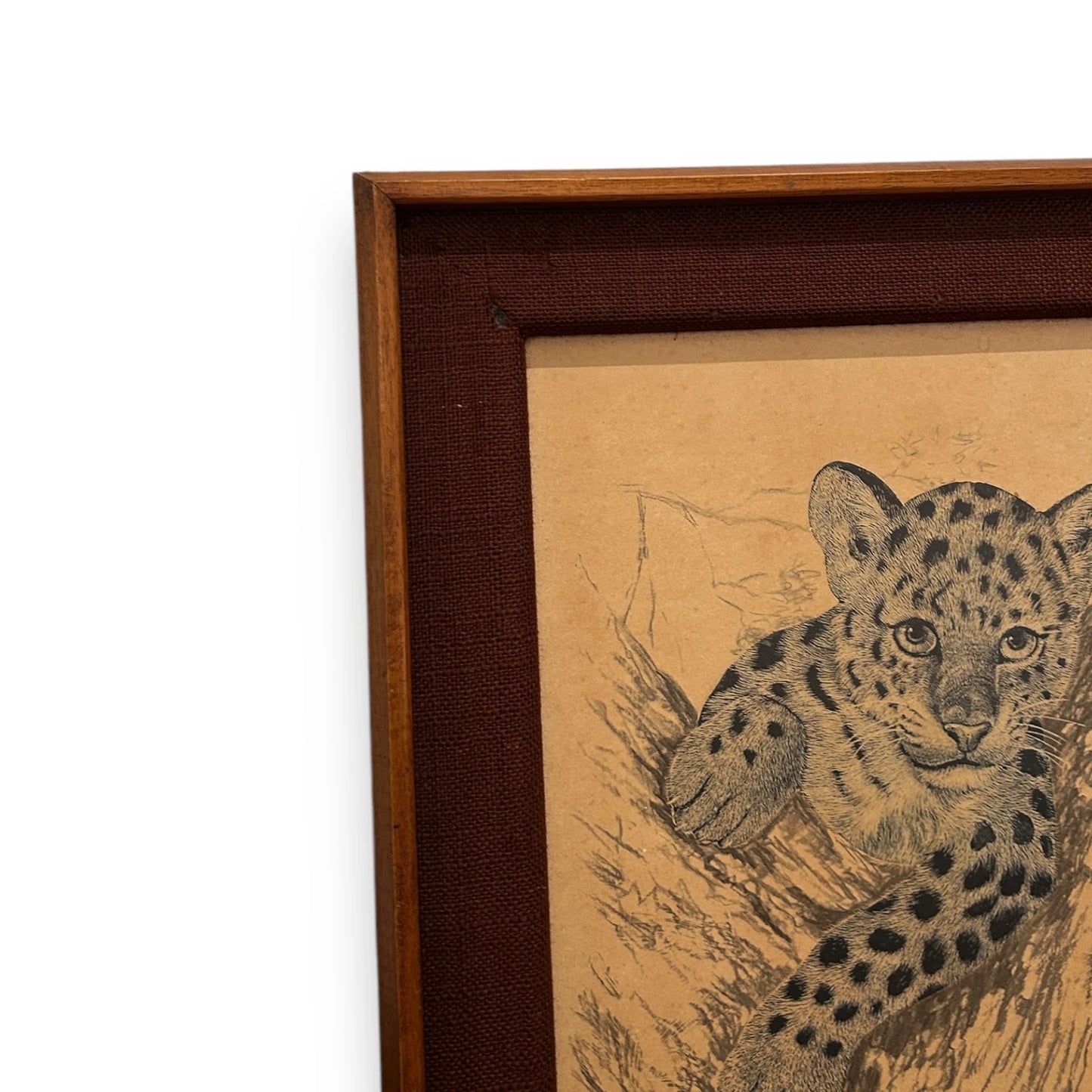 Vintage 1970s Samaraweera Tiger Cub Framed Picture