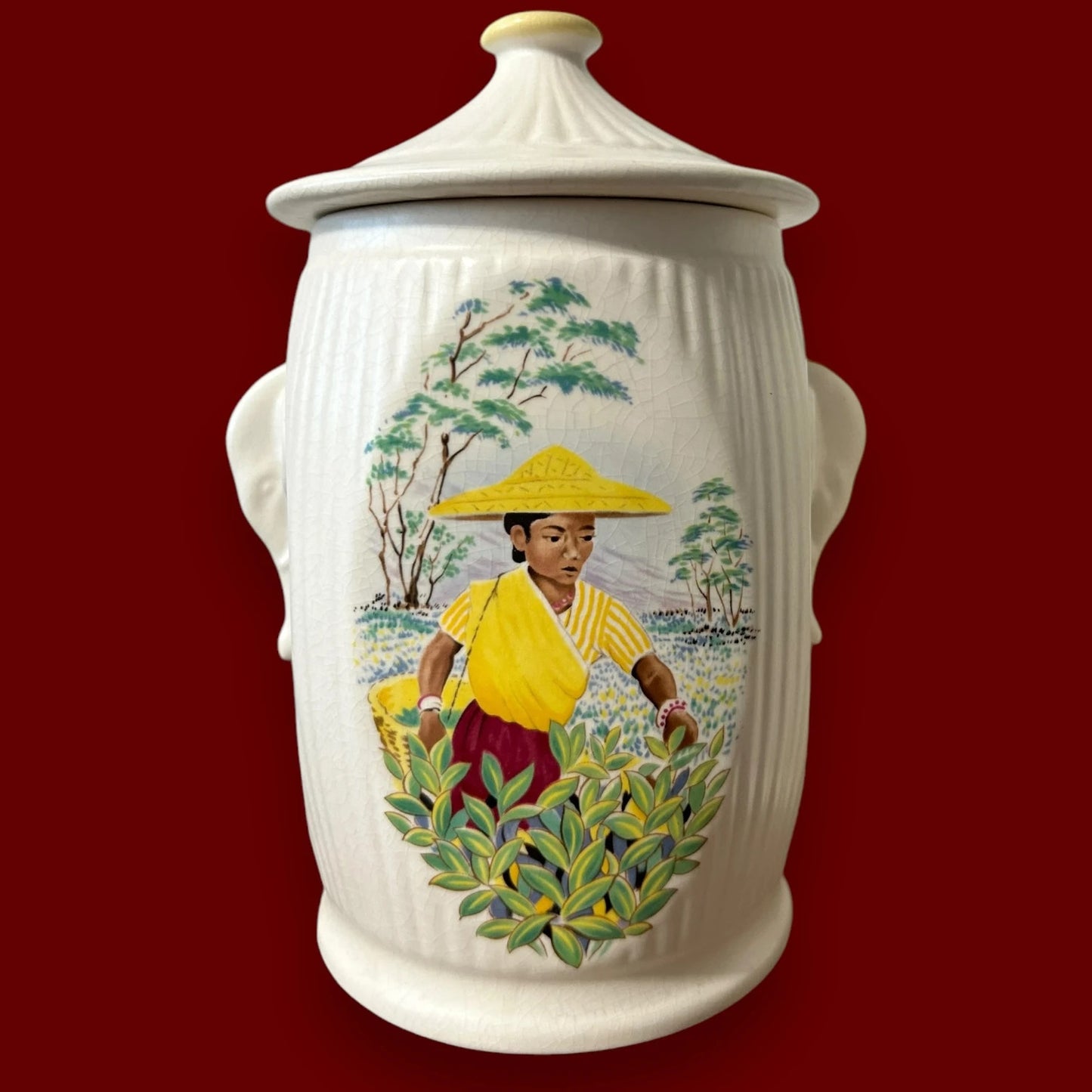 Vintage 1950s Pair of Sylvac Tea Caddys