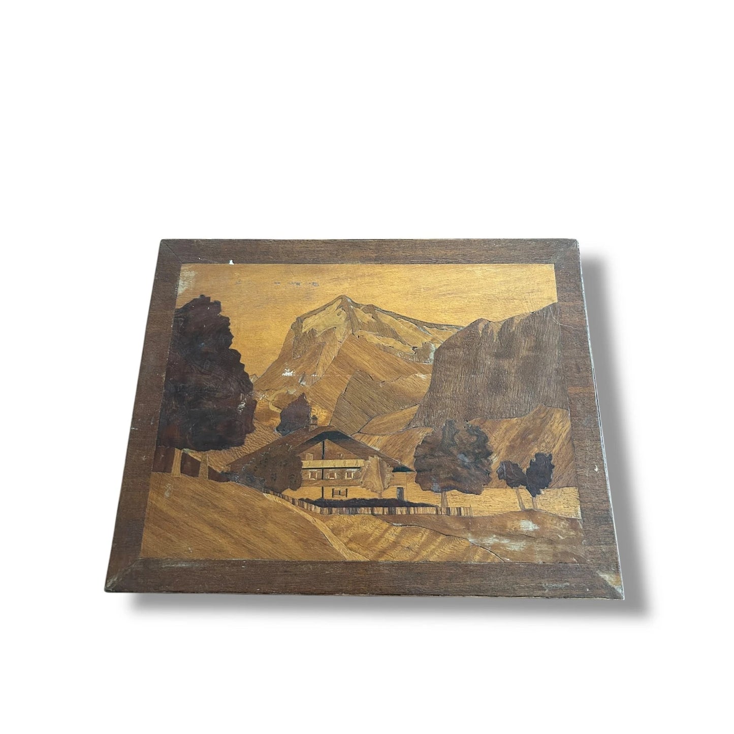 Mid Century Modern Carved Wood Marquetry Picture Panel