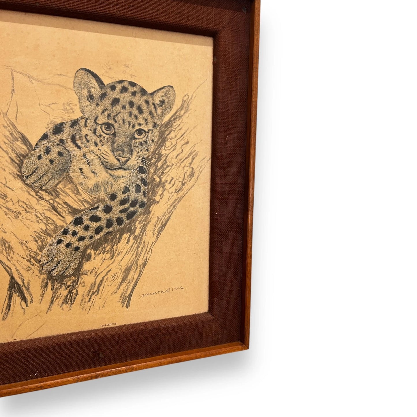Vintage 1970s Samaraweera Tiger Cub Framed Picture