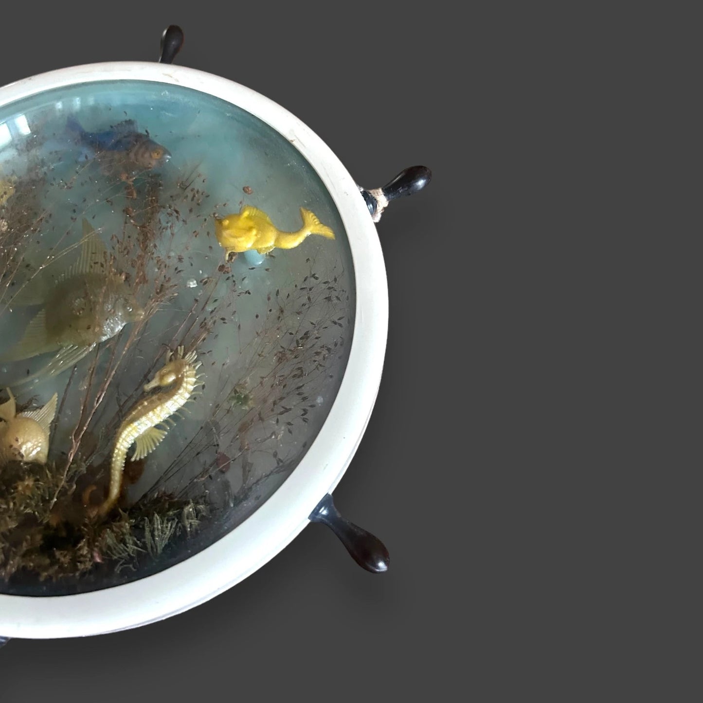 Mid Century Ships Wheel Ocean Fish Scene Terrarium