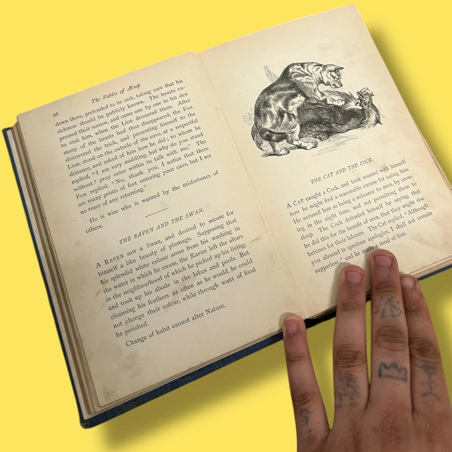 Vintage Aesop fables hardback book
