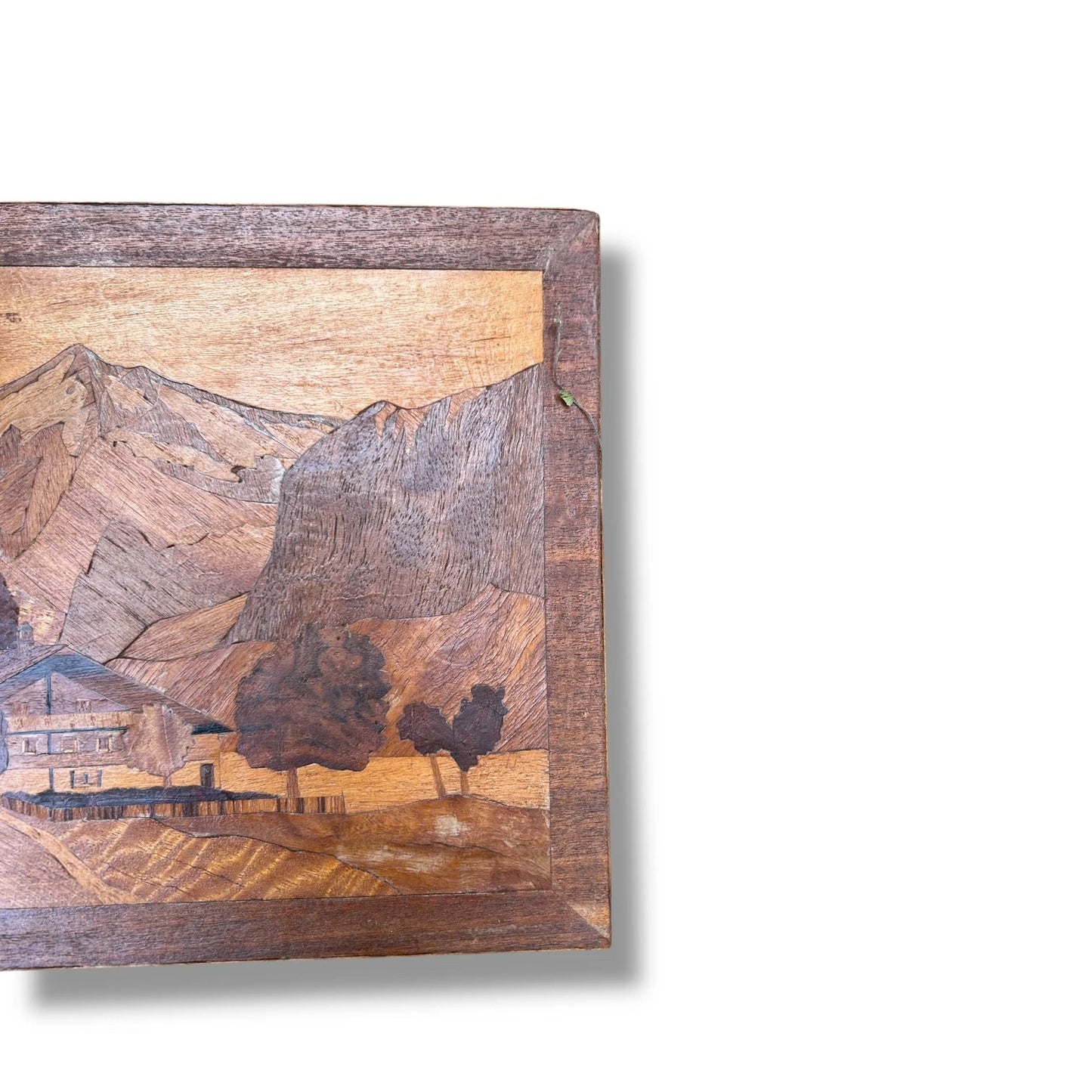 Mid Century Modern Teak Wood Marquetry Landscape Picture