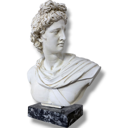 Apollo Bust Sculpture | Large Classical Greco Roman Plaster Statue on Marble Base