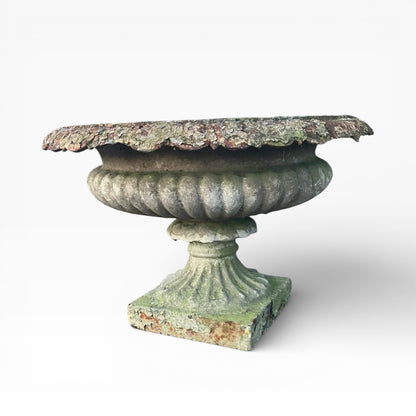 Large Regency Period Cast Iron Tazza Garden Urn c.1820 – Provenance to The White Swan, Harrogate — view 5