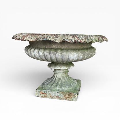 Large Regency Period Cast Iron Tazza Garden Urn c.1820 – Provenance to The White Swan, Harrogate — view 3