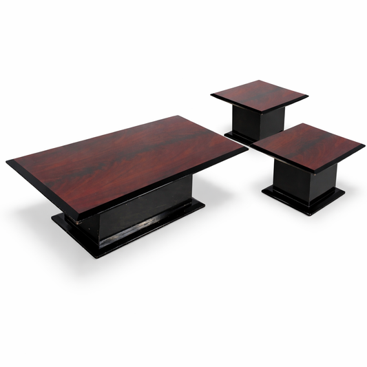 Mid-Century Space Age Rosewood & Acrylic Coffee Table Set