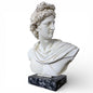 Apollo Bust Sculpture | Large Classical Greco Roman Plaster Statue on Marble Base