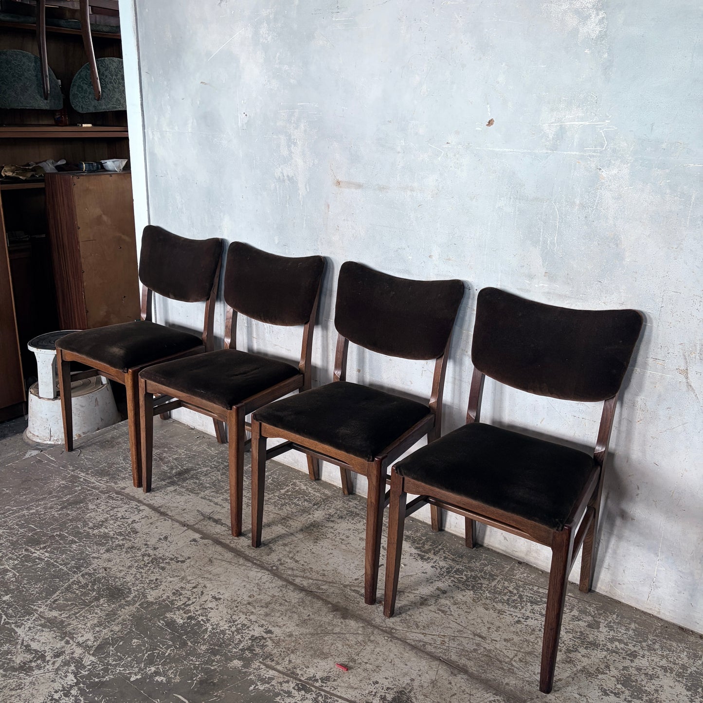 Mid Century Set of Four Oak Butterfly Back Dining Chairs