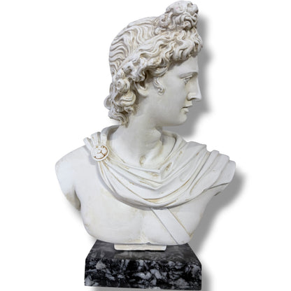 Apollo Bust Sculpture | Large Classical Greco Roman Plaster Statue on Marble Base