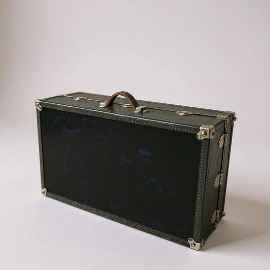 Mid Century Modern Leather Suitcase Costume Trunk Chest