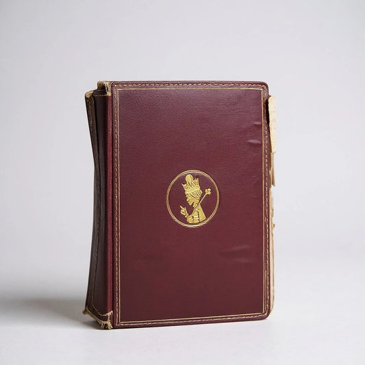 Antique 1878 Alice in Wonderland “Through the Looking Glass” | Rare Lewis Carroll Book