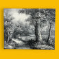 Mid Century Black and White Nature Oil Painting