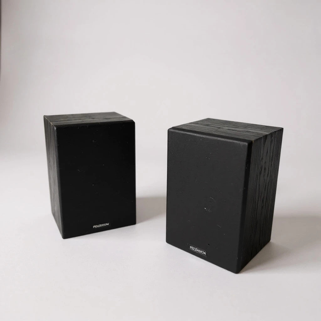 Vintage Ferguson Black Wood Speakers – Mid-Century Retro Hi-Fi