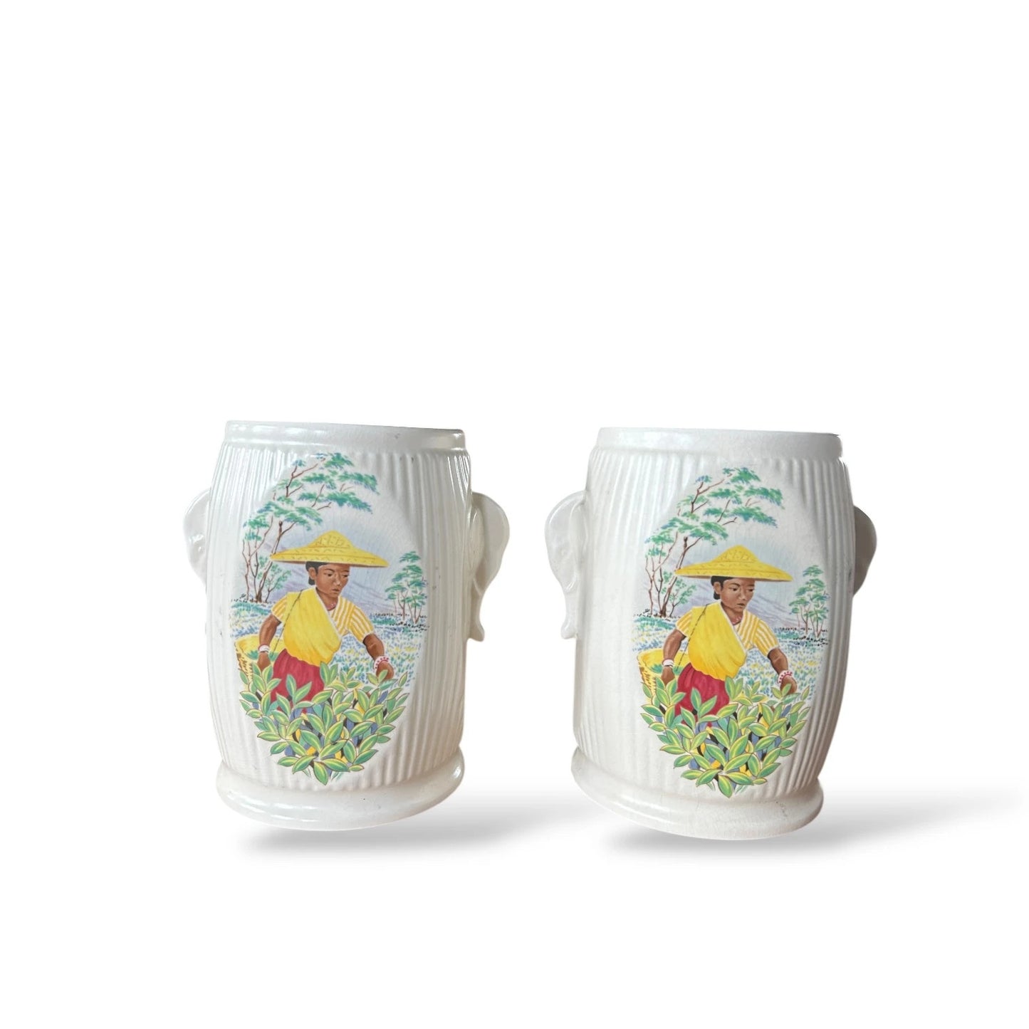 Pair of Vintage SylvaC Tea Caddies – Ribbed Pottery Jars