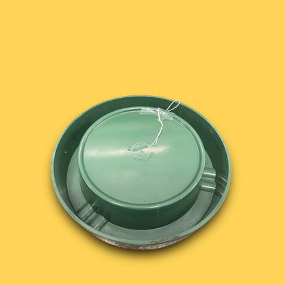 Vintage 90s Carlsberg AshTray